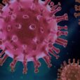 virus