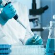 The Indian medical diagnostic industry is expected to grow at around 14 and reach US 20B by FY26