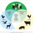 500px Zoonotic Diseases