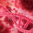 red dna 1048 4745
