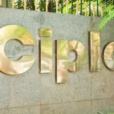 cipla
