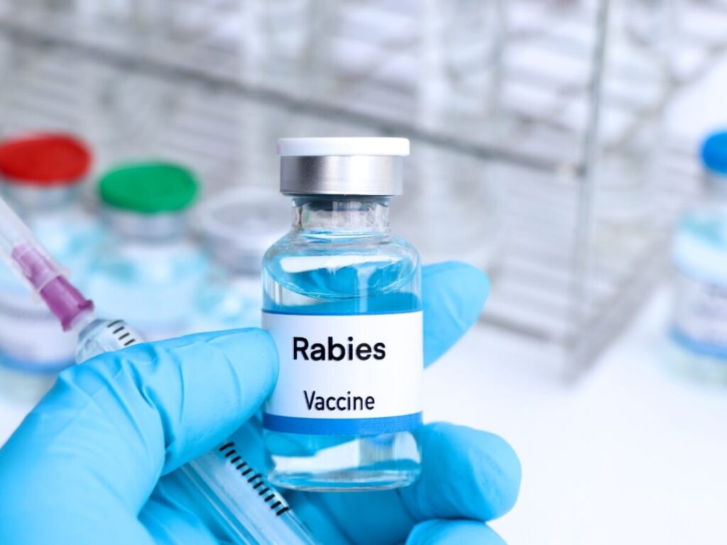 Rabies vaccine vial with syringe in medical gloves